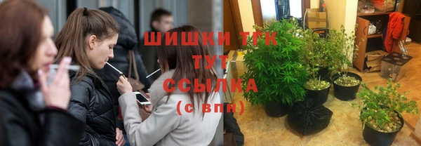 герыч Кропоткин