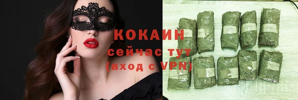 МДПВ Гусев