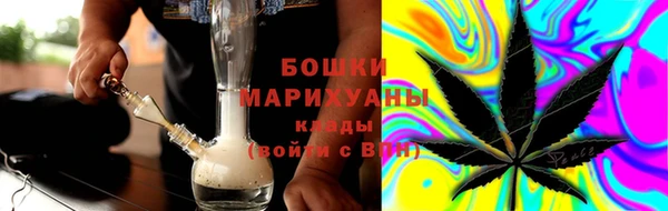 соль ск Гусиноозёрск
