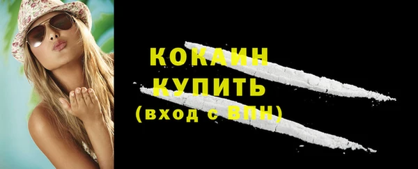 МДПВ Гусев