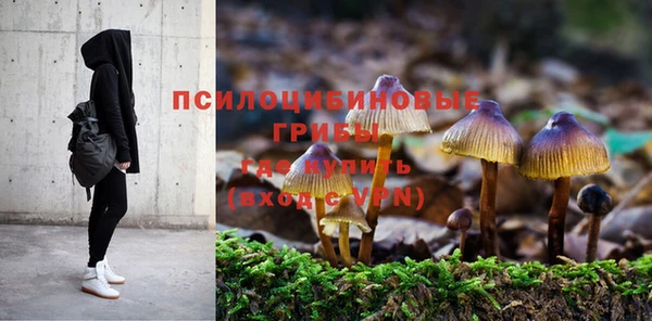 соль ск Гусиноозёрск