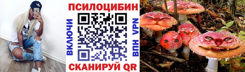купить наркотики сайты  Сим  дарк нет состав  Галлюциногенные грибы Psilocybine cubensis 